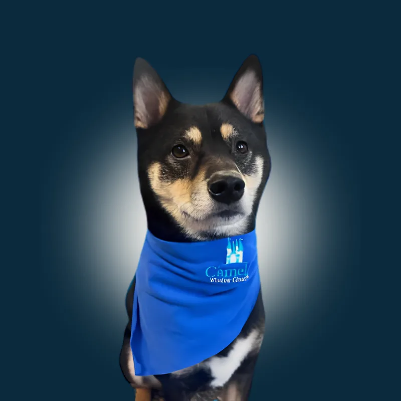 Mako